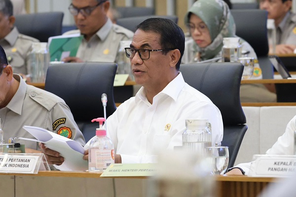 Mentan Amran dorong hilirisasi kelapa Indonesia